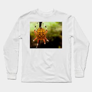 Yellow Orb Spider Long Sleeve T-Shirt